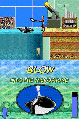 Shamu's Deep Sea Adventures screenshot 3 for Nintendo DS